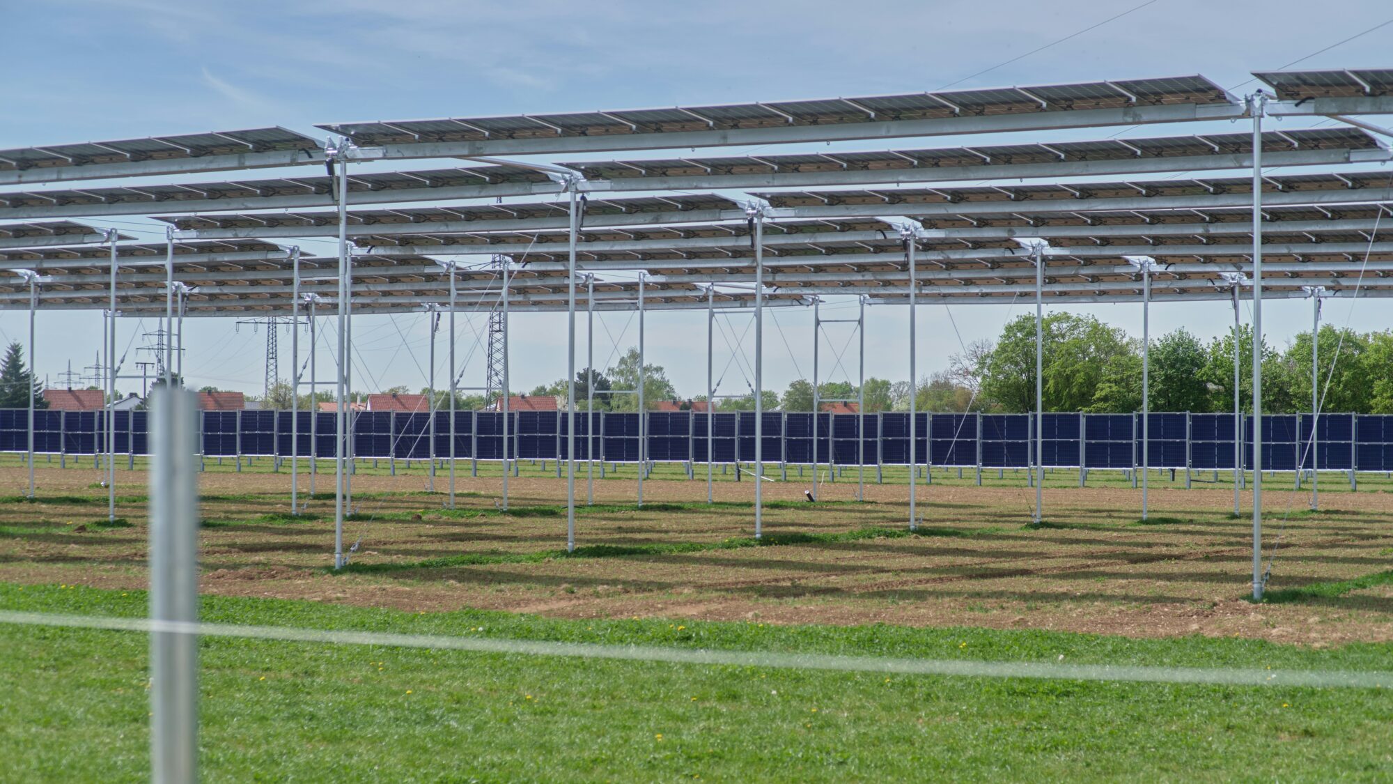 Agri-PV system: elevated solar modules above farmland