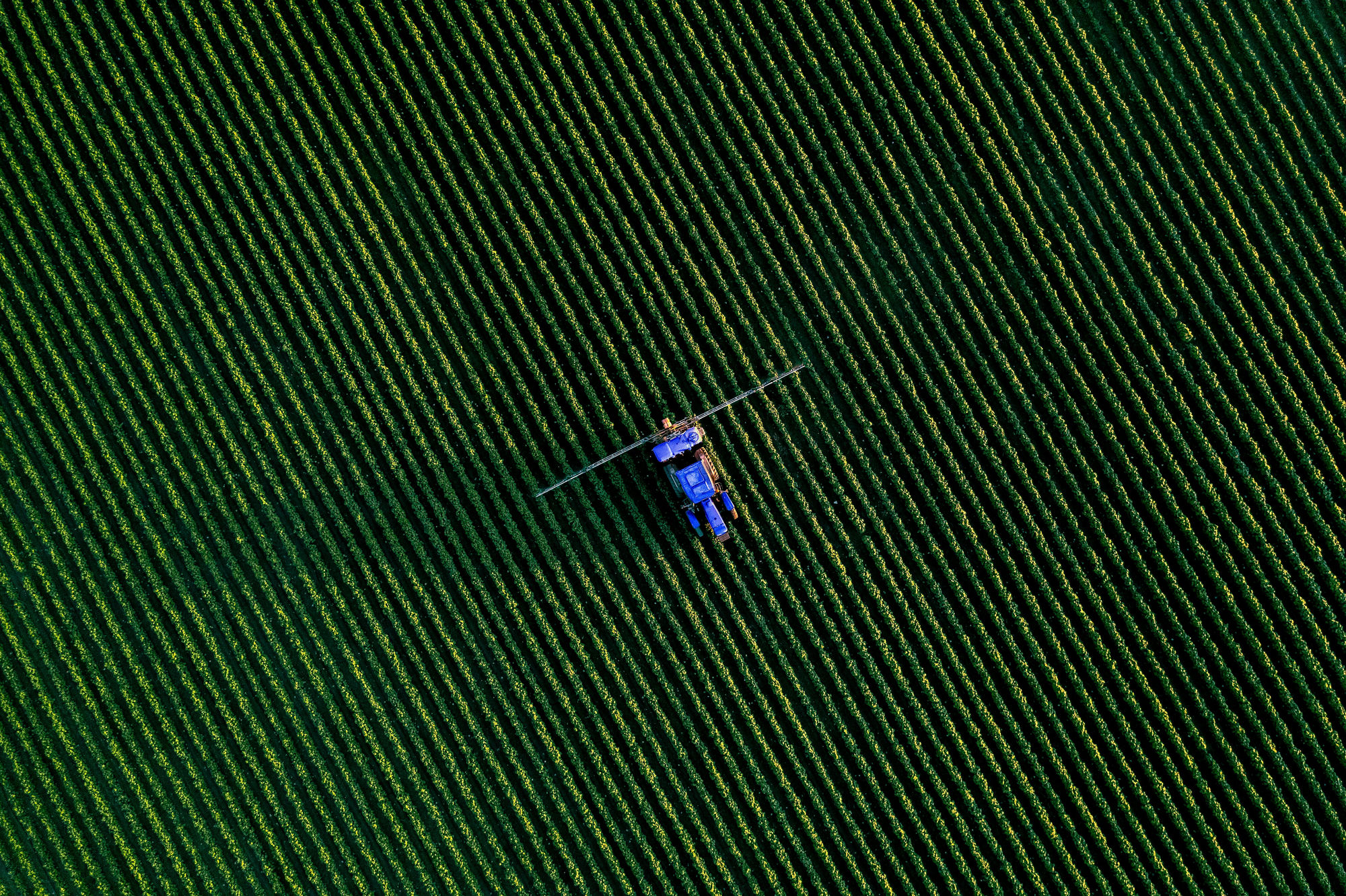 Bird's-eye view of a tractor working a field